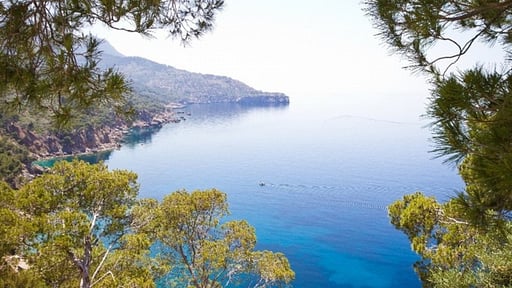 Villa El Niu de L'Oronella Прочее