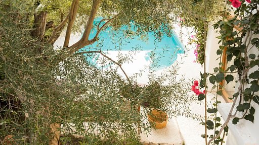 Villa El Oasis Schwimmbad