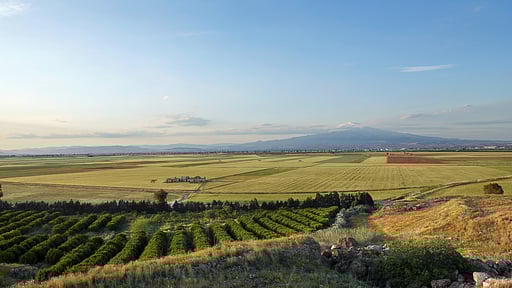 Villa Elixir Sicily Surroundings