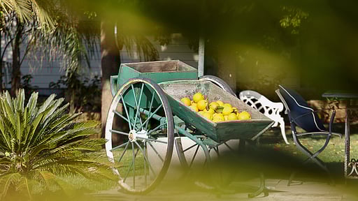 Villa Elixir Sicily Others 