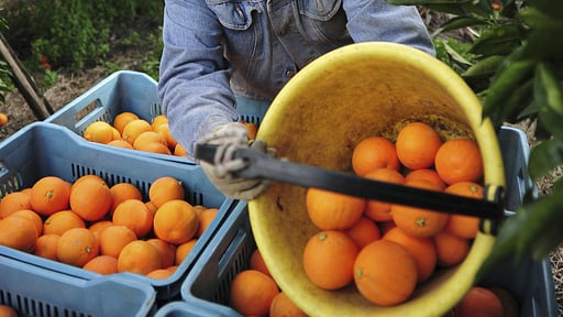 Villa Elixir Sicily Others 