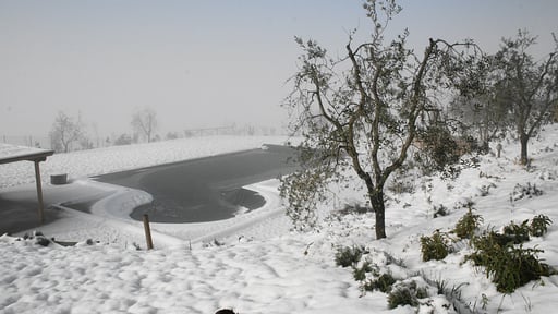 Villa Ellerone Swimming pool