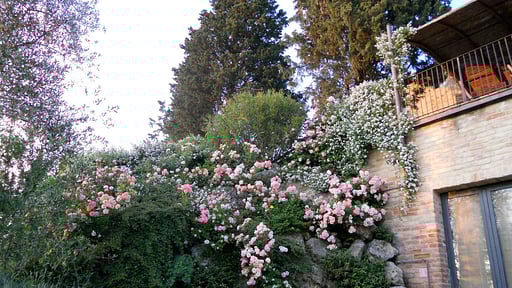 Villa Ellerone Others 