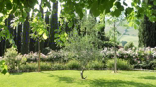 Villa Ellerone Others 