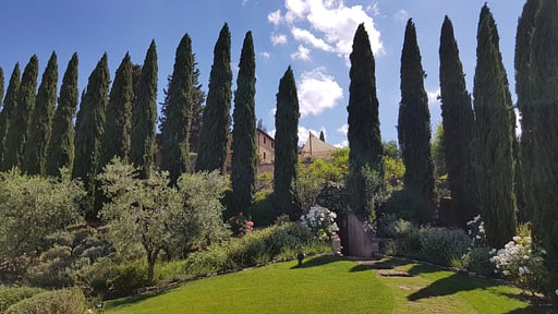 Villa Ellerone Garden