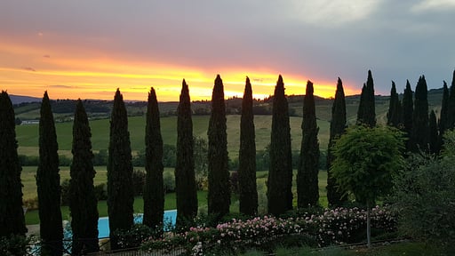 Villa Ellerone Garden