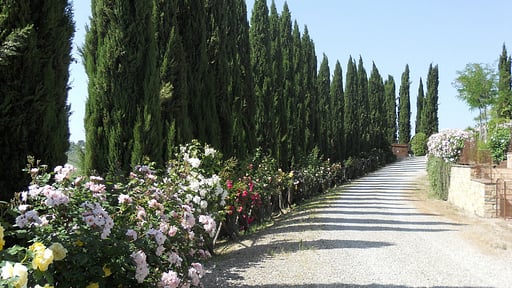 Villa Ellerone Others 