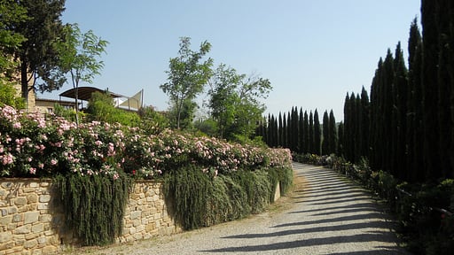 Villa Ellerone Others 