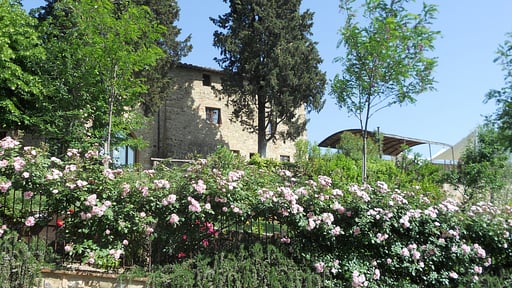 Villa Ellerone Others 