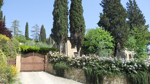 Villa Ellerone Others 