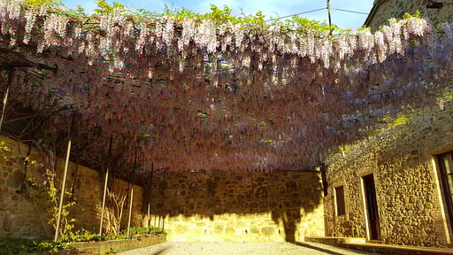 Villa Ellerone Others 