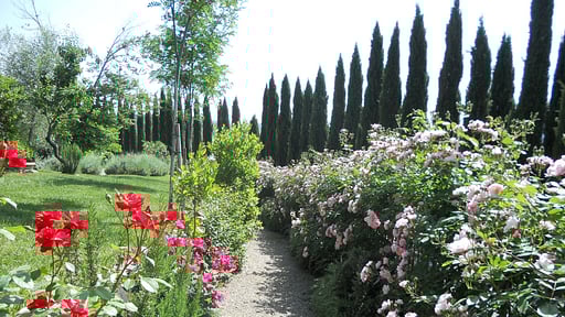 Villa Ellerone Garden