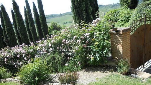 Villa Ellerone Garden