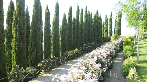 Villa Ellerone Garden