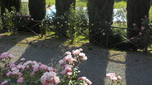 Villa Ellerone Garden