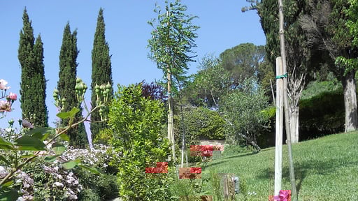 Villa Ellerone Garden