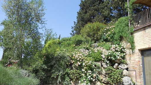 Villa Ellerone Garden