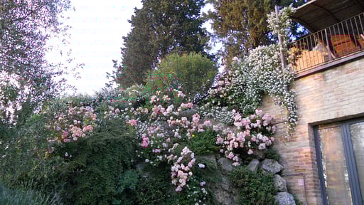 Villa Ellerone Garden