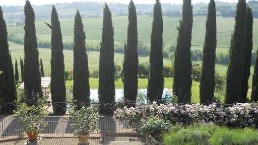 Villa Ellerone Garden