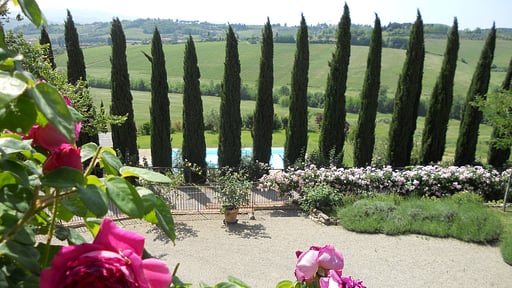 Villa Ellerone Garden