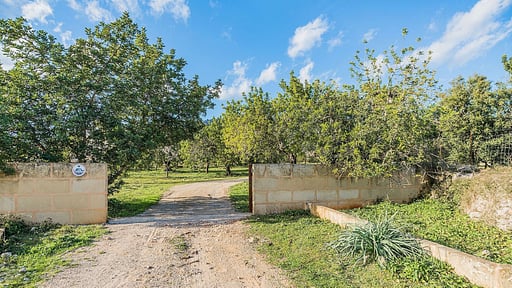 Villa Empaltada Прочее 