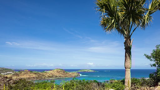 Villa Endeavour Surroundings