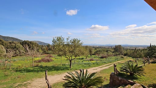 Villa Es Bosquet Прочее