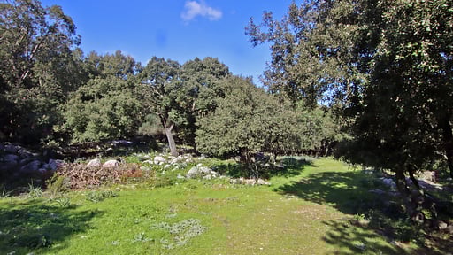 Villa Es Bosquet Прочее