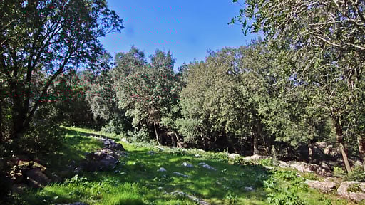 Villa Es Bosquet Прочее