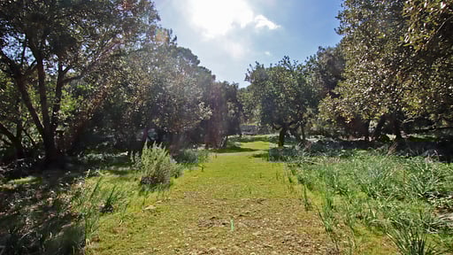 Villa Es Bosquet Прочее