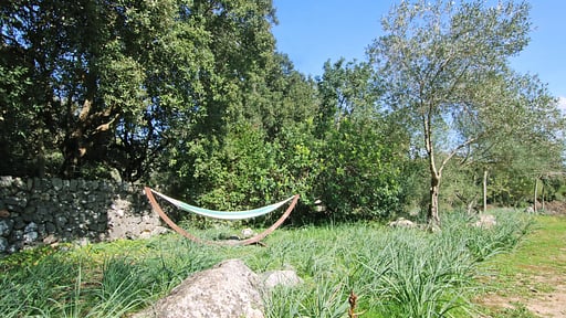 Villa Es Bosquet Прочее