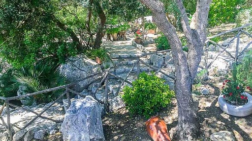 Villa Es Fangar Otros