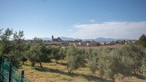 Villa Es Flavo Others