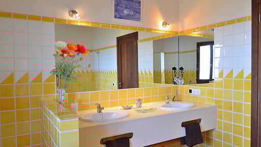 Villa Es Turonet Others 