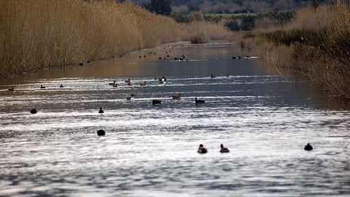 Villa Esplendor Manyo Окрестности