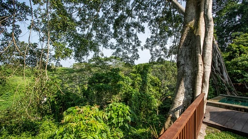 Villa Estrada Others