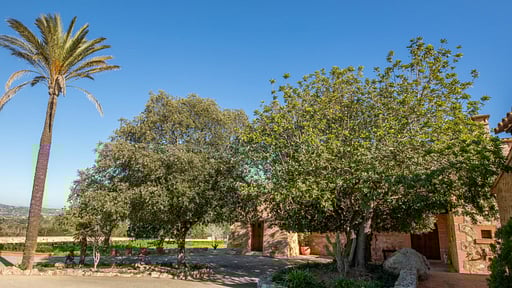 Villa Estrella Azul Others