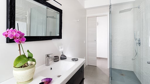 Evanthe Garden - Diantha Others 