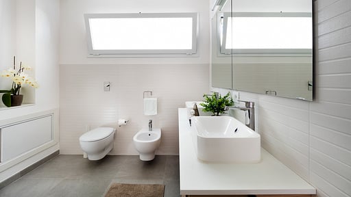 Evanthe Garden - Diantha Others 