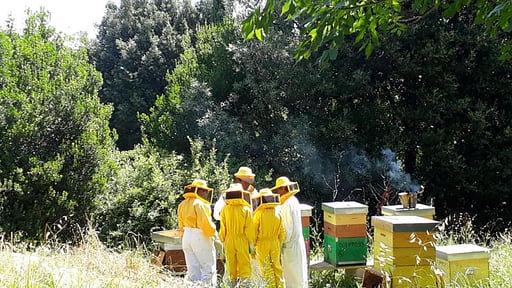 Villa Fattori Andere 