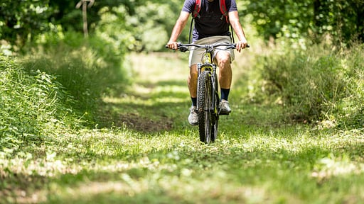 Villa Fattori Andere 