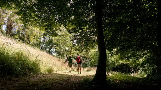 Villa Fattori Andere 