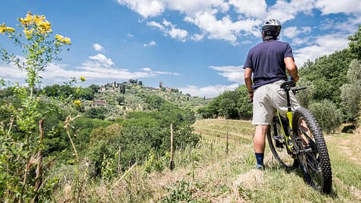 Villa Fattori Andere 