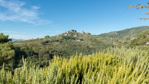 Villa Fattori Umgebung