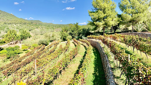 Villa Felanitx Garden