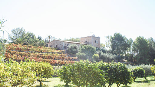 Villa Felanitx Garden