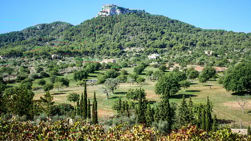 Villa Felanitx Garden