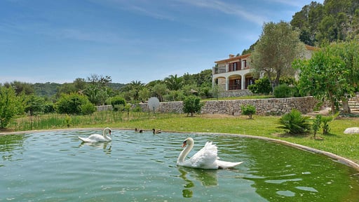 Finca Plomera Others 