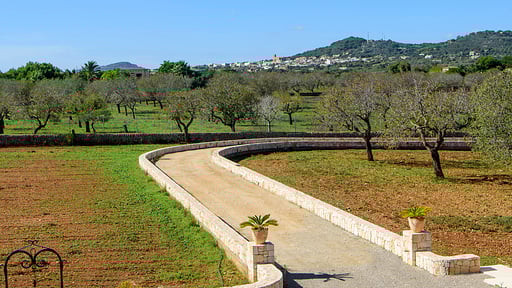 Finca Sa Pletassa Surroundings