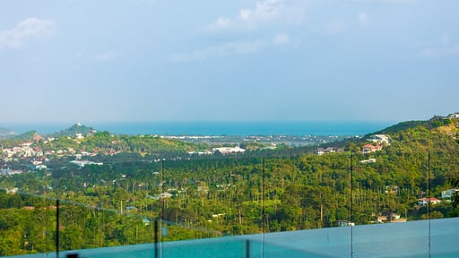 Villa Firefly Swimming pool